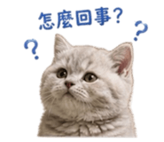 840557988