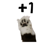 840558402