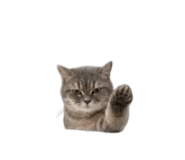 840558539