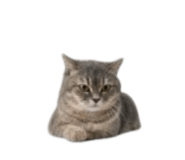 840558540