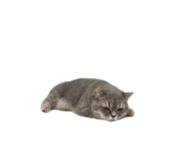 840558542