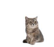 840558543