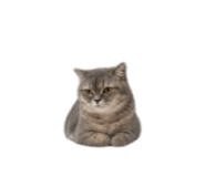 840558544