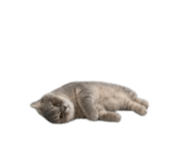 840558545