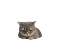 840558548