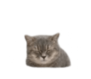 840558549