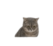840558550