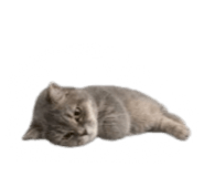 840558551