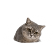 840558552