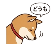 840559622