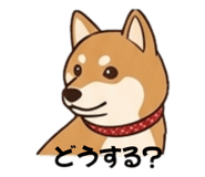840559629