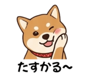 840559637