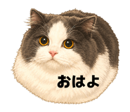 840559865