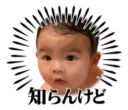 840560010