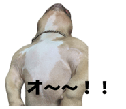 840560027