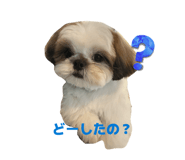 840560036