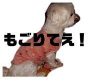 840560475