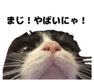 840560509