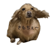 840561239
