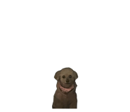 840561240