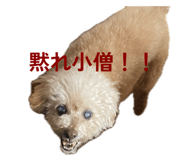 840561242