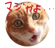 840561800