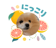 840561812