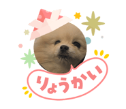 840562087