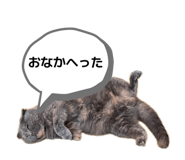 840562289