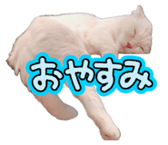 840562290