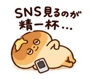 840579051