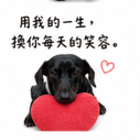 840579198