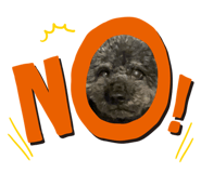 840579540