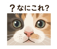 840579979
