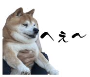 840580091