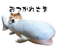 840580095