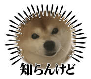 840580098