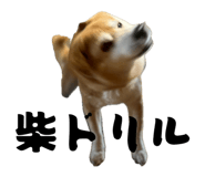 840580100