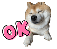 840580105