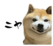 840580118