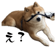 840580120