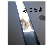 840580490