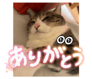 840580650