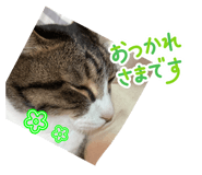 840580656