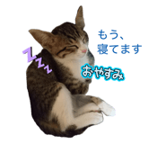 840580660