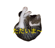 840580663