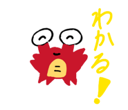 840580816