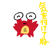 840580818