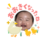 840580893