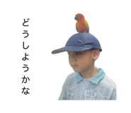 840580961